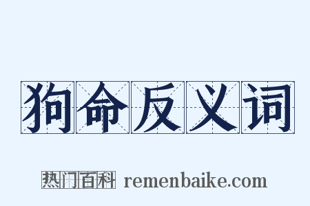 狗命反义词是什么意思的图片